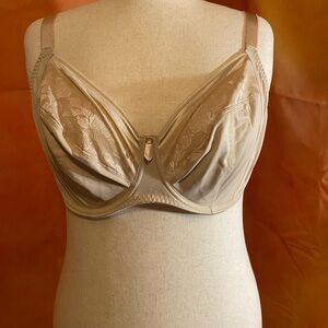 Fantasies underwire bra, 40G